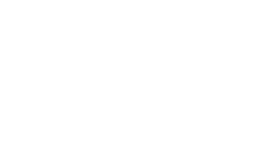 Buddi